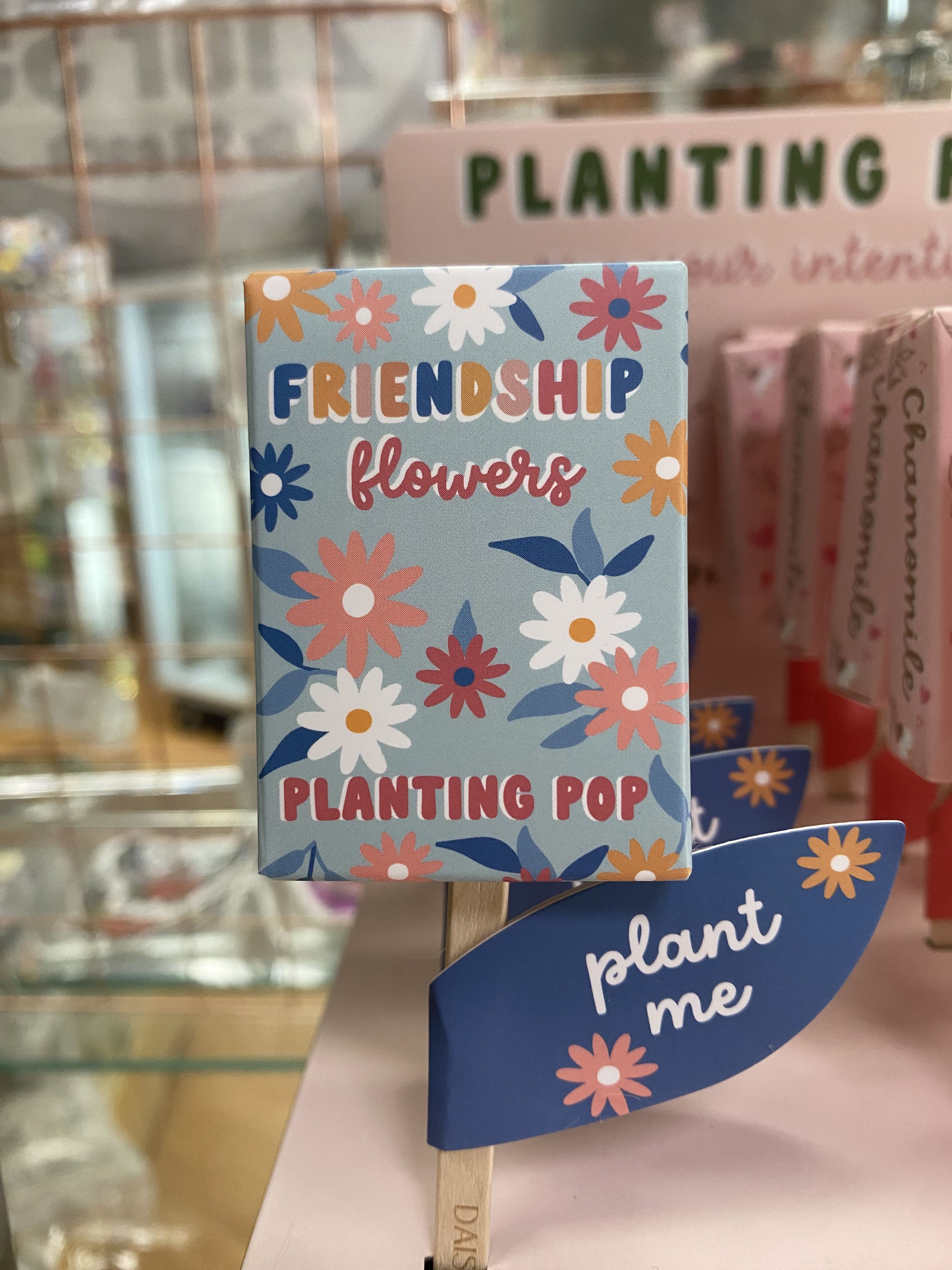 Decorative plant sign with daisy pattern and the words "Friendship flowers"