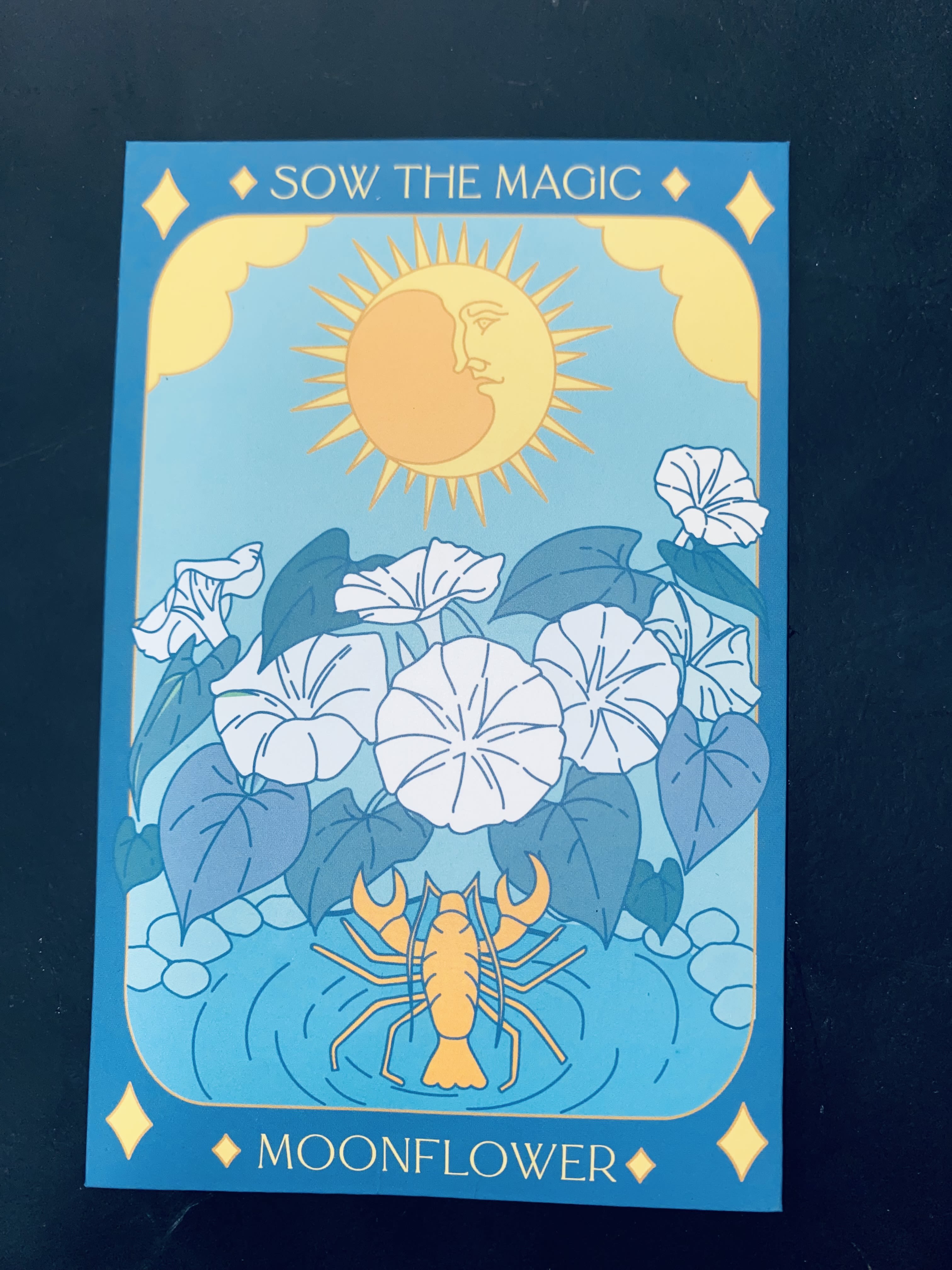 Illustrated moonflower card with white blooms and a sun and lobster motif