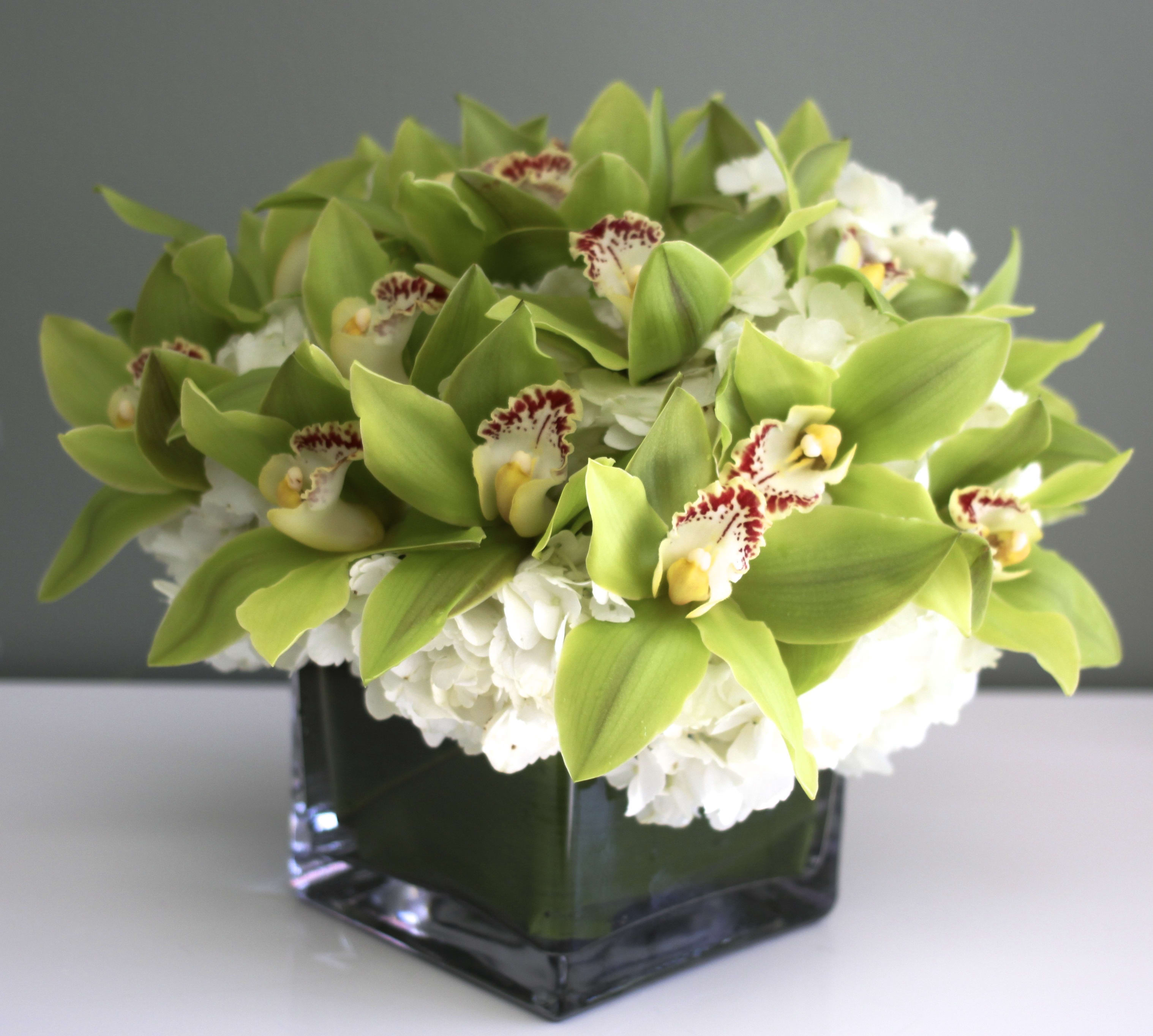 Green orchids and white flowers in a square glass vase