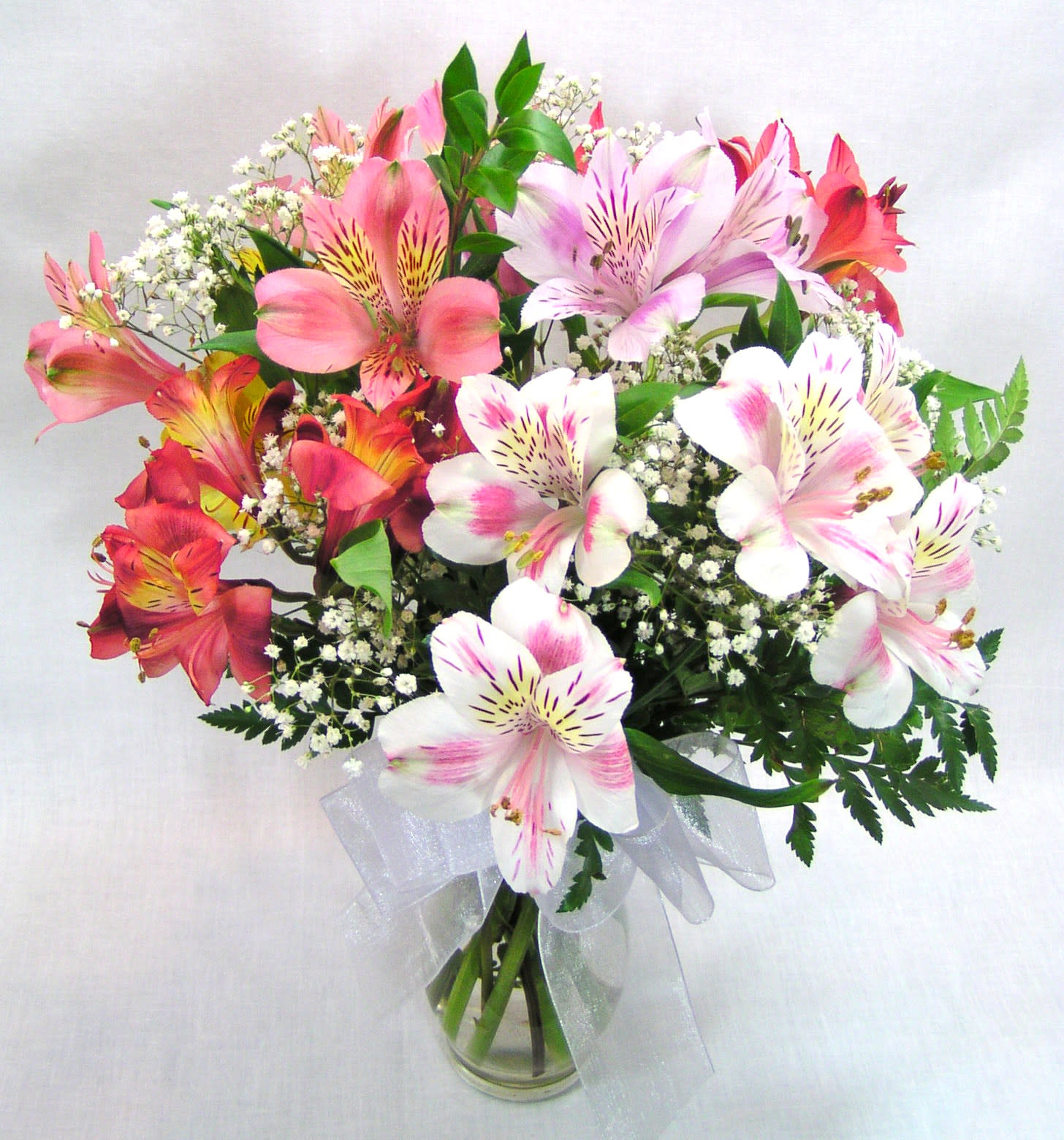 Adorable Alstromeria - A beautiful mix of long-lasting alstromeria arranged with Babies Breath and greens in a clear glass vase. A lovely bow completes this arrangement with just the right touch. Perfect for any and every occasion. Just think of the smiles this sweet bouquet will bring! Another name for alstromeria is Peruvian Lily. The mi of colors may vary.  We are proud to deliver our flower creations to the Kenosha, Somers, and Pleasant Prairie area. With over 55 years of combined flower design experience in Kenosha, Wisconsin, A Summer's Garden Florist and Gifts is the perfect choice for the freshest flowers, most creative designs,and exceptional customer service.