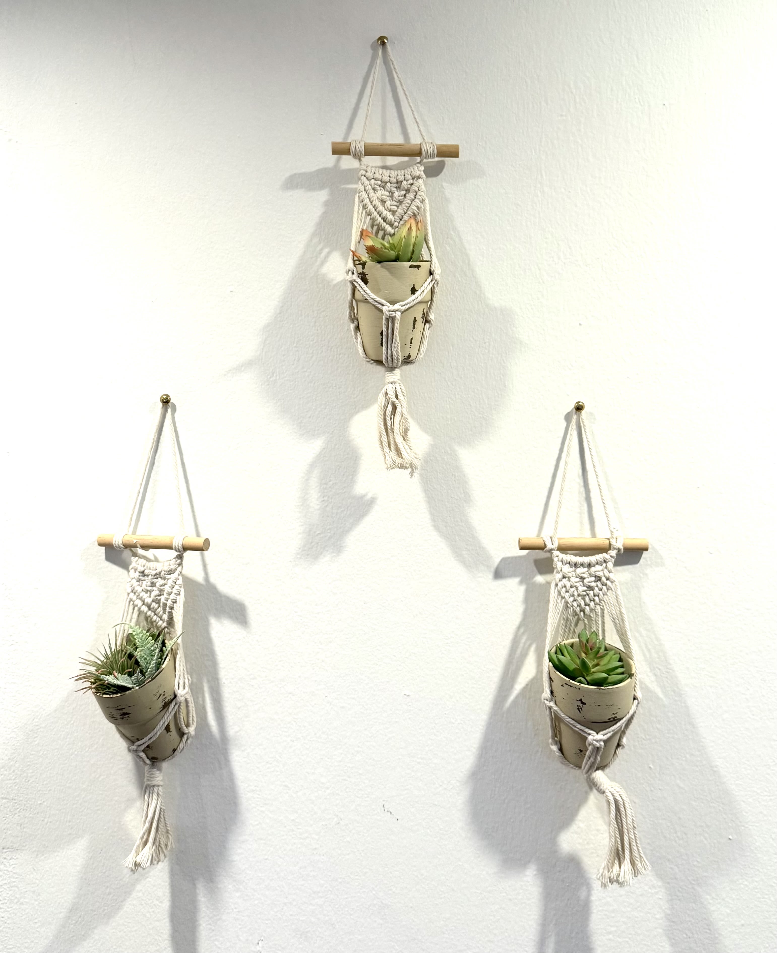Three hanging macramé planters with small succulents on a white wall