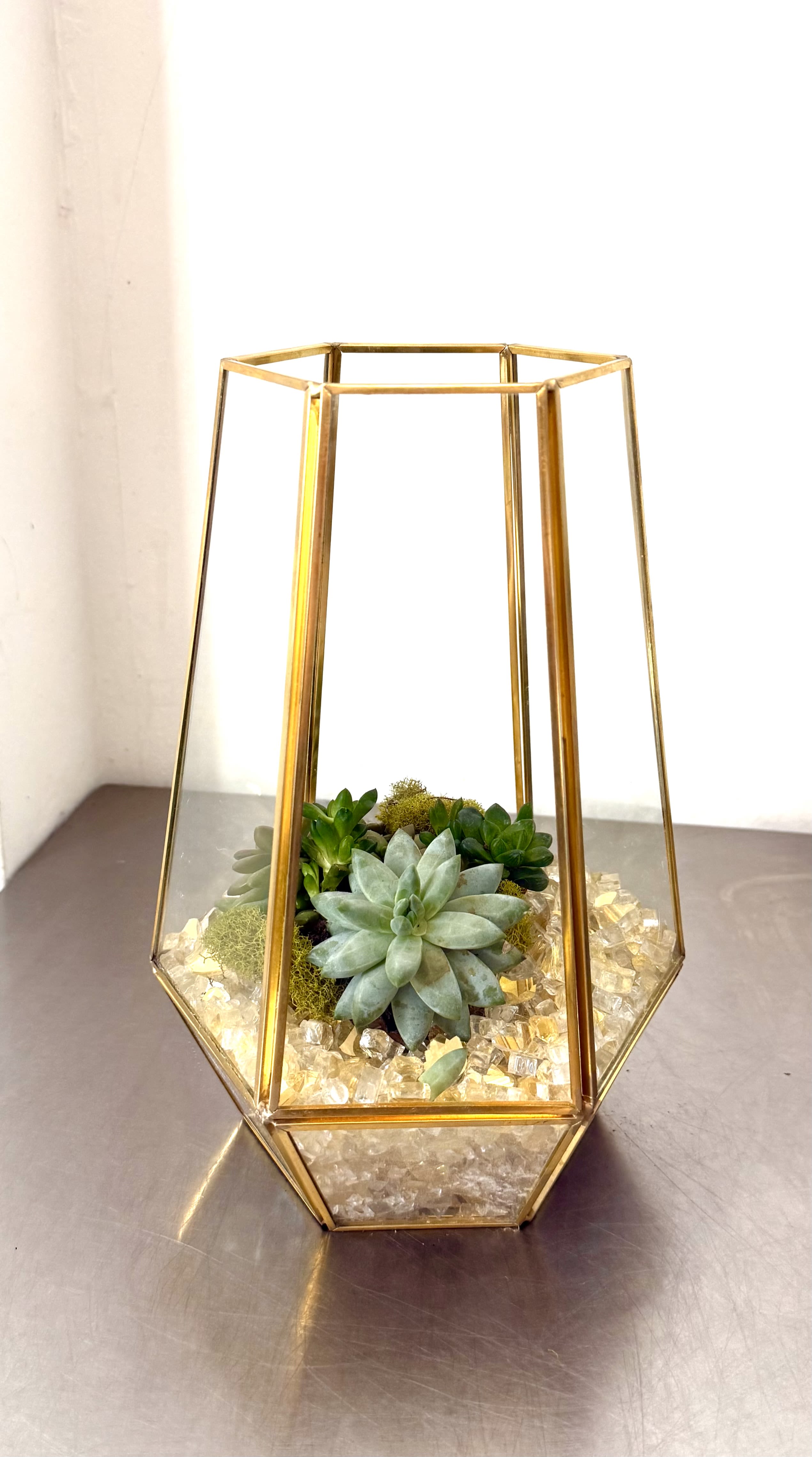 Succulent arrangement in a gold geometric terrarium