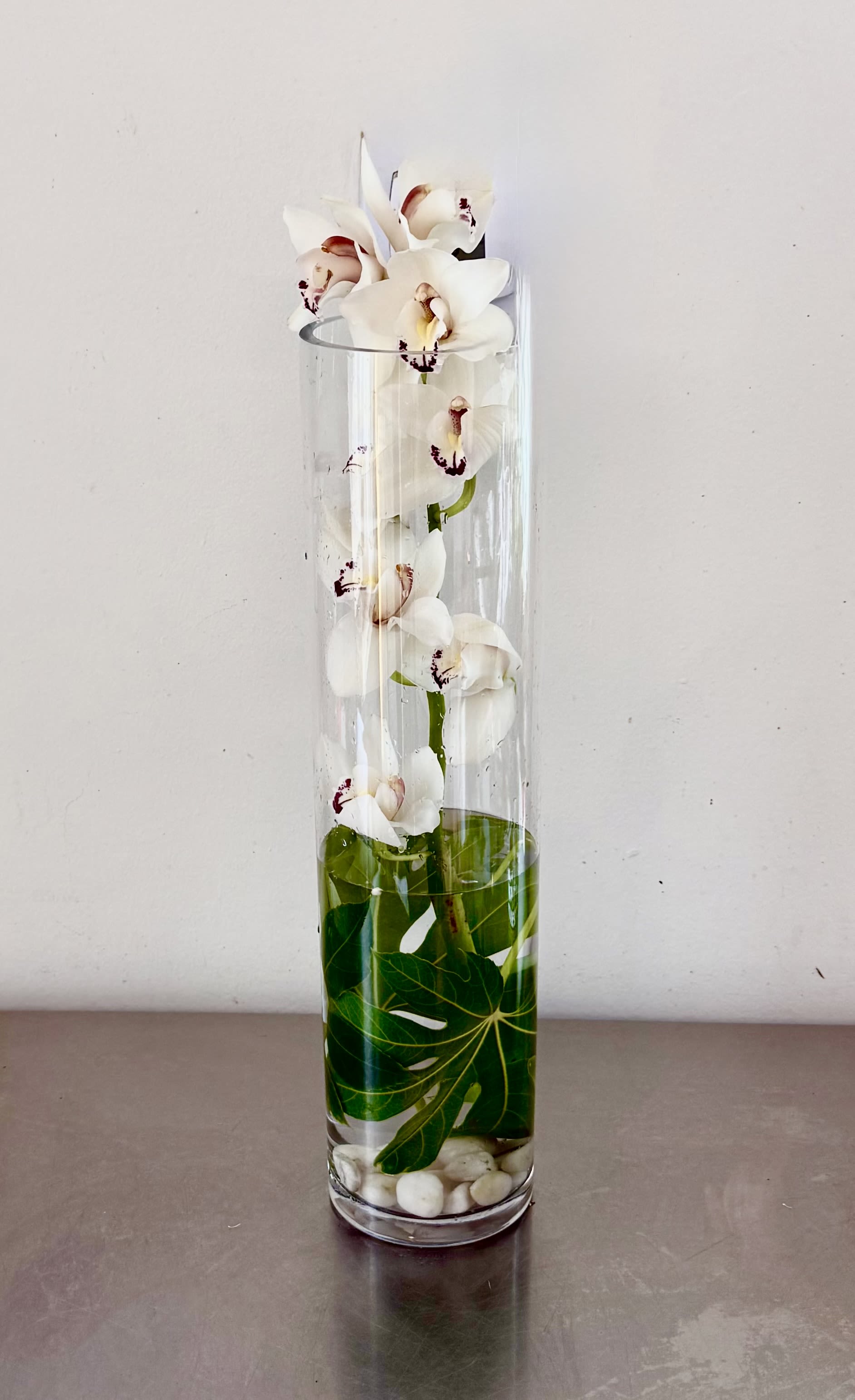 cymbidium orchid in a tall cylinder vase  - Tall cymbidium orchid rises from a column of glass, graceful stem and subtle burgundy-marked centers creating an elegant, contemporary focal point perfect for a housewarming, everyday display, or a thoughtful get-well or "thinking of you" gift. This tall cylinder vase arrangement feels calm and airy-the vertical form draws the eye upward while keeping the overall impression refined and modern.  Several white Phalaenopsis blooms float above broad green leaves, with the lower vase layered in water, smooth white stones, and foliage for clean texture and stability. The clear glass cylinder showcases the stems and stones for a minimalist look that complements neutral and modern interiors; the arrangement's mixed white-and-green palette keeps it versatile and long-lasting for many occasions.  Designed to make the recipient feel cared for and seen, this orchid arrangement sends a quiet, sophisticated message-ideal for someone who appreciates low-key luxury. Care is simple: keep the water fresh and place out of direct sun and drafts to help the blooms last 