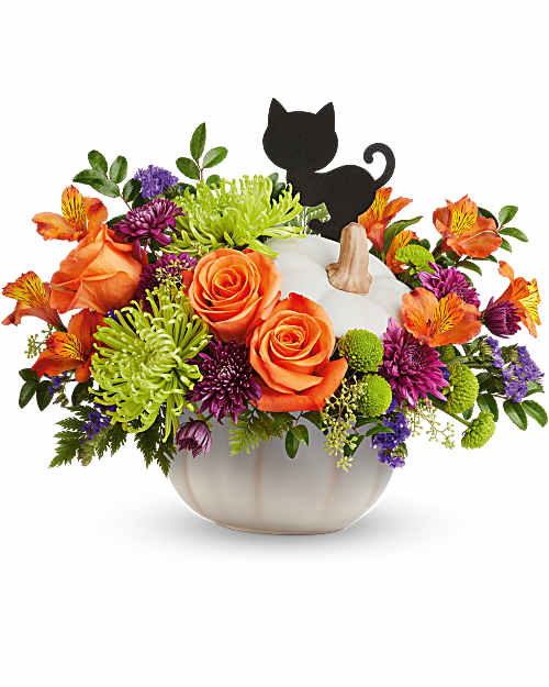 Orange roses and mixed flowers in a white pumpkin container with a black cat pick