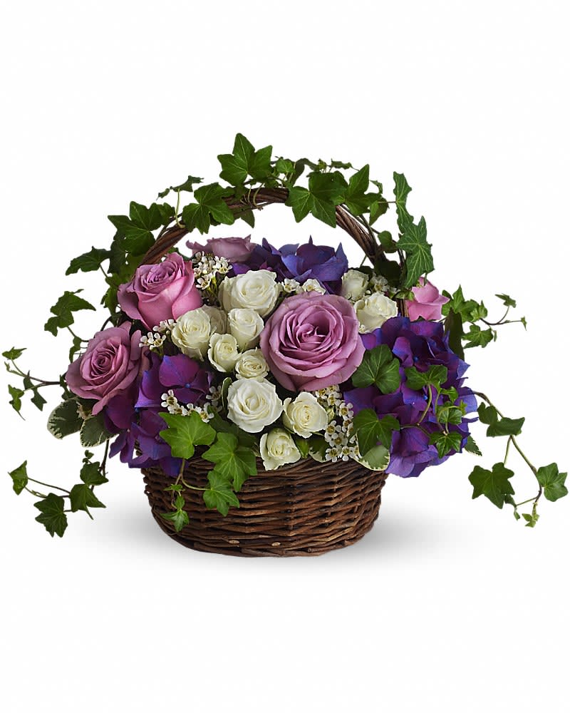 Basket arrangement of purple and white roses with blue hydrangeas and ivy around the handle
