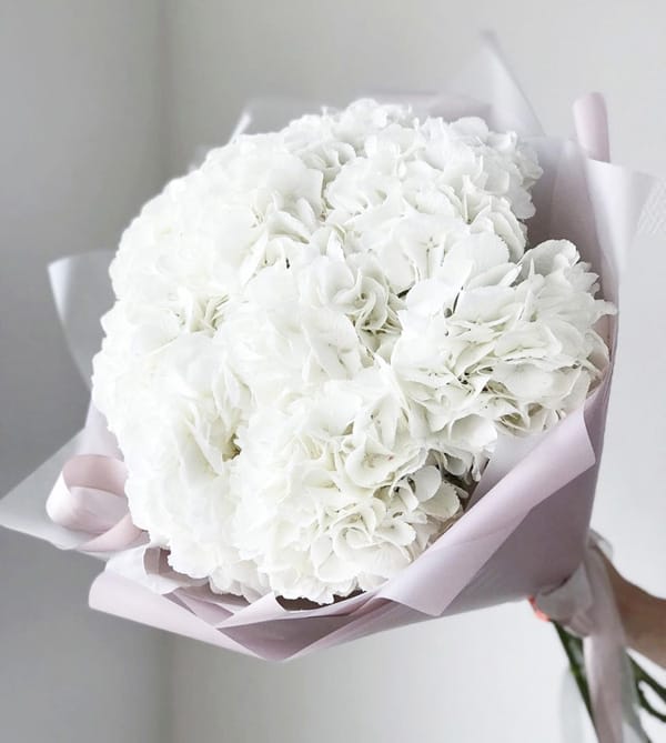 White Cloud Hydrangea - Due to current supply shortages, some substitutions of flowers and containers (hat box/vase) may be required. We will ensure that the overall look and feel of the gift you selected is preserved. All upgrade arrangements come without a vase - if you wish to purchase one please call us at (347) 492-5777. Thank you for your understanding and support.
