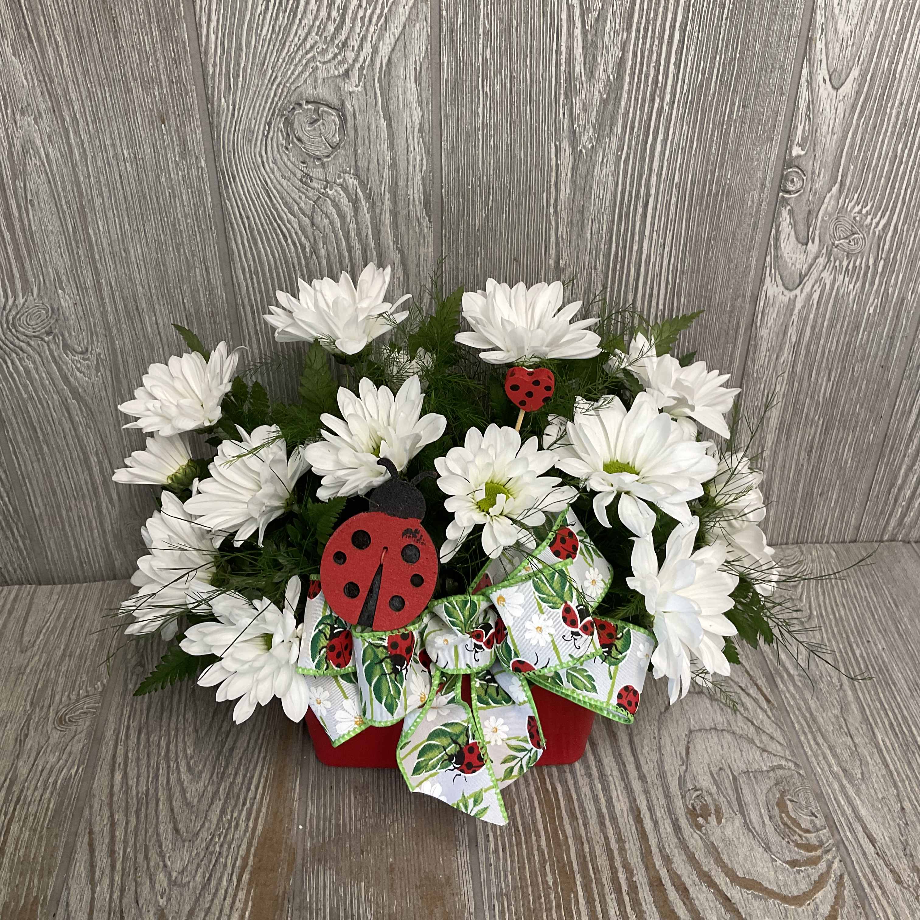 White daisy bouquet in a red container with a ladybug ribbon