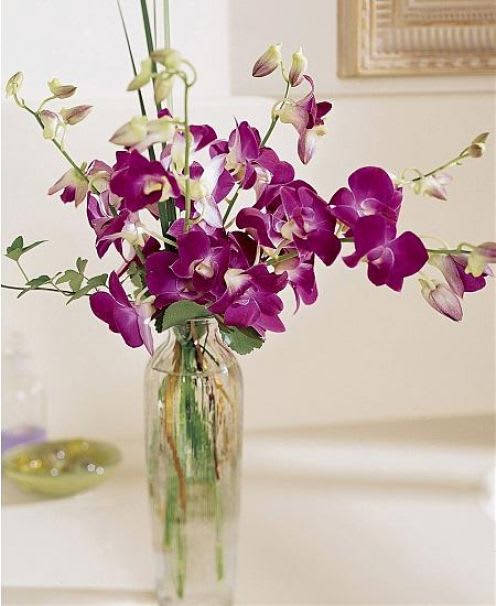 Purple orchids arranged in a clear glass vase