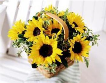 Basket of bright yellow sunflowers with a curved handle