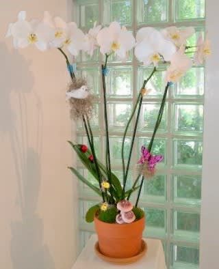 Potted white orchid arrangement with decorative accents