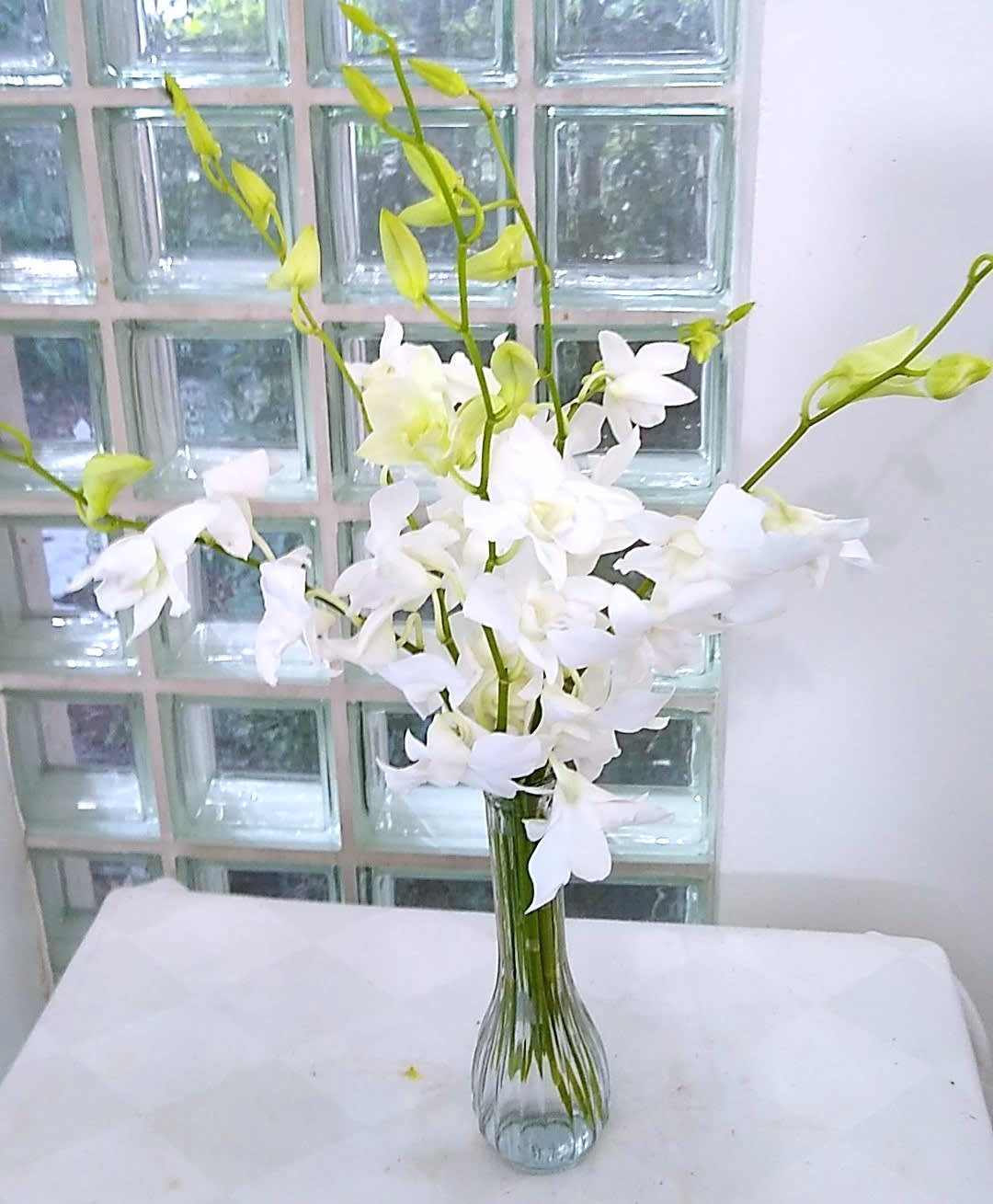 White orchids in a clear glass vase
