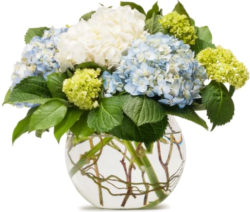 Blue and white hydrangea arrangement in a clear glass vase