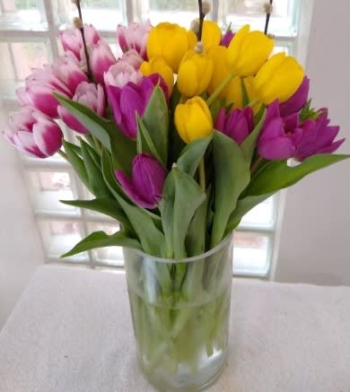 Rush of Color Assorted 30 Tulip Bouquet  - We mix two or more colors (depending on availability) of 30 tulips in a vase. IMPORTANT NOTE: The colors shown are only examples of possible colors we may include.   Please advise us if you have specific color(s) that must be included, otherwise we will use assorted colors based on inventory.