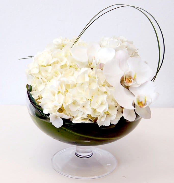 Orchids in a Bowl - Large orchids supported by hydrangea in a glass bowl.