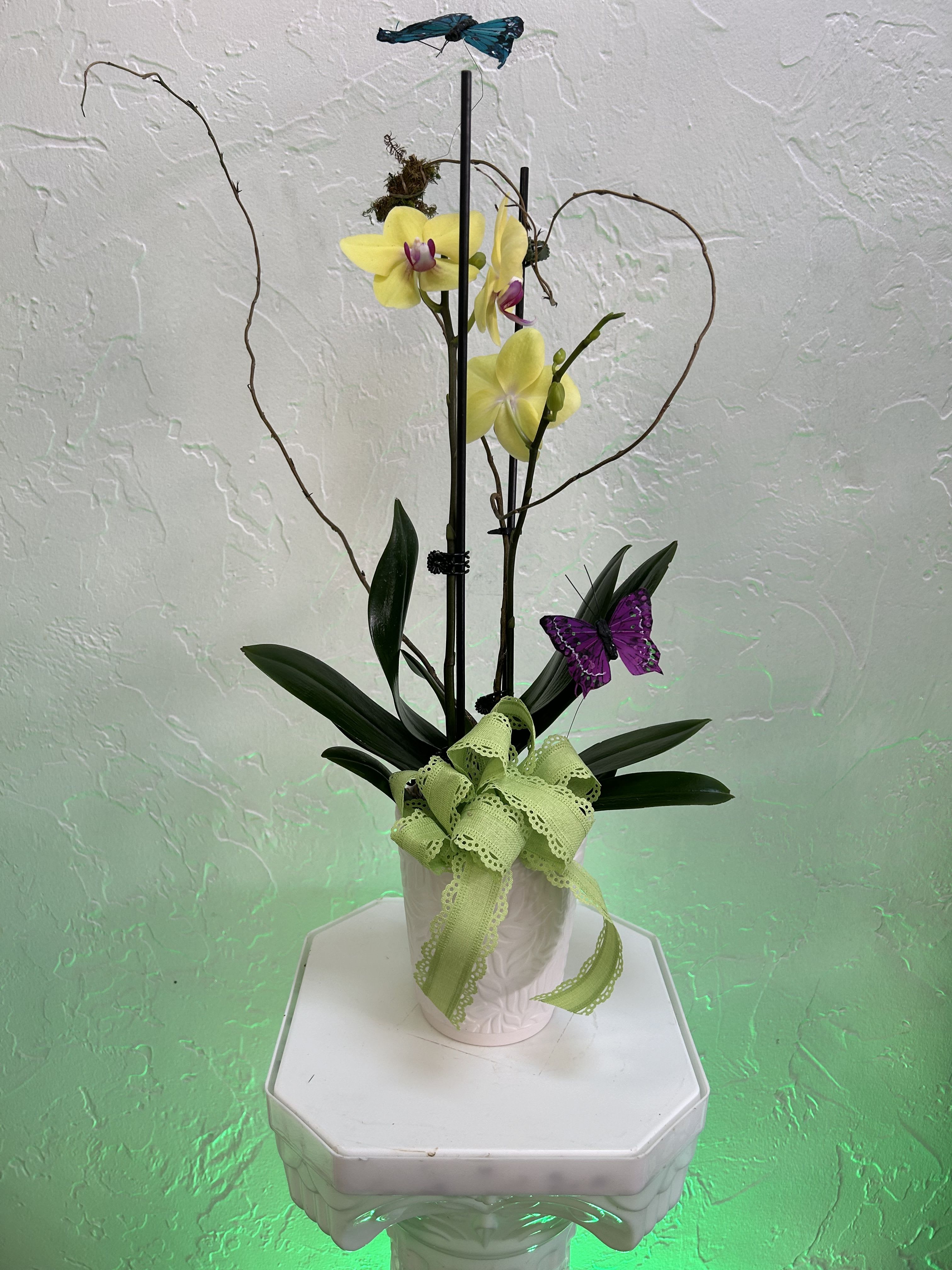 Yellow orchids in a white pot with decorative butterflies and ribbon