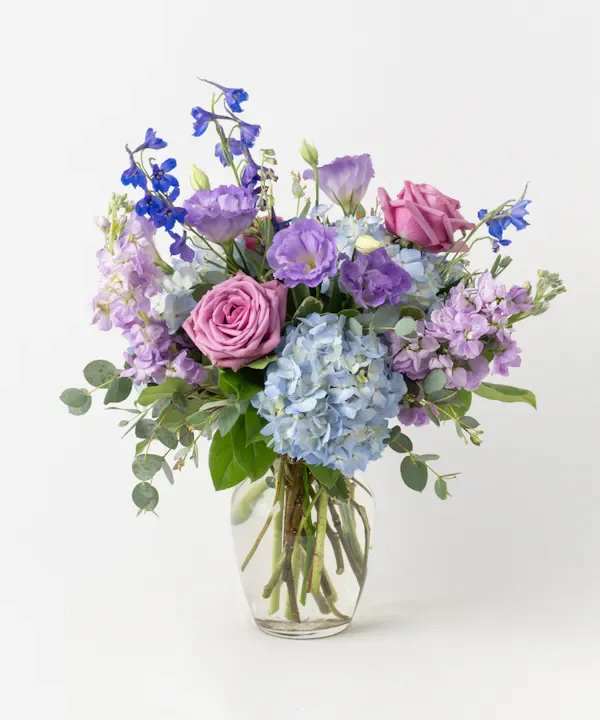  Blue And Violet Arrangement - Inspired by spectacular gorgeous shades of violet and blue, the "Violet Renaissance" arrangement is a true beauty. This elegant display features lush Blue Hydrangea, graceful Delphinium, fragrant Lavender Stock, delicate Lavender Lisianthus, and enchanting Lavender Roses. Arranged in an elegant sweetheart vase, this bouquet brings a touch of timeless beauty and sophistication to any setting.
