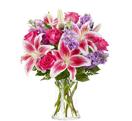 Amore Bouquet - Radiating romance and charm,  Amore Bouquet is a stunning mix of fragrant Stargazer lilies, vibrant pink roses, and soft lavender stock. Presented in a classic clear vase, this captivating arrangement is the perfect way to express love, admiration, or heartfelt affection.