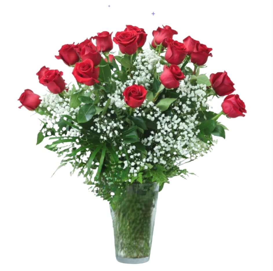 2 Dozen Red Roses with Baby's Breath  - 2 dozen red roses with baby's breath. 