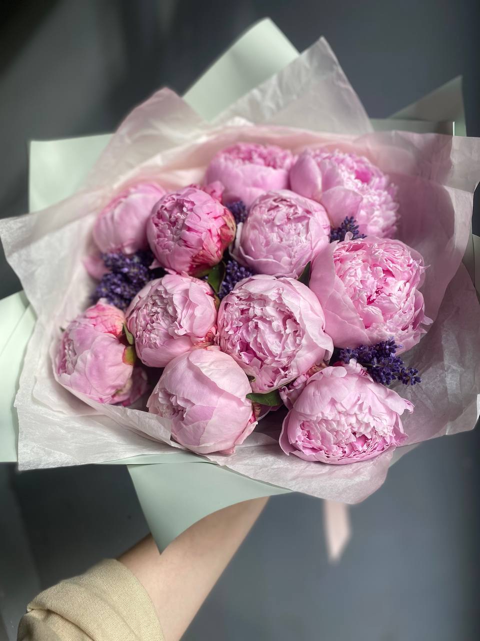 Bouquet of pink peonies wrapped in pale paper