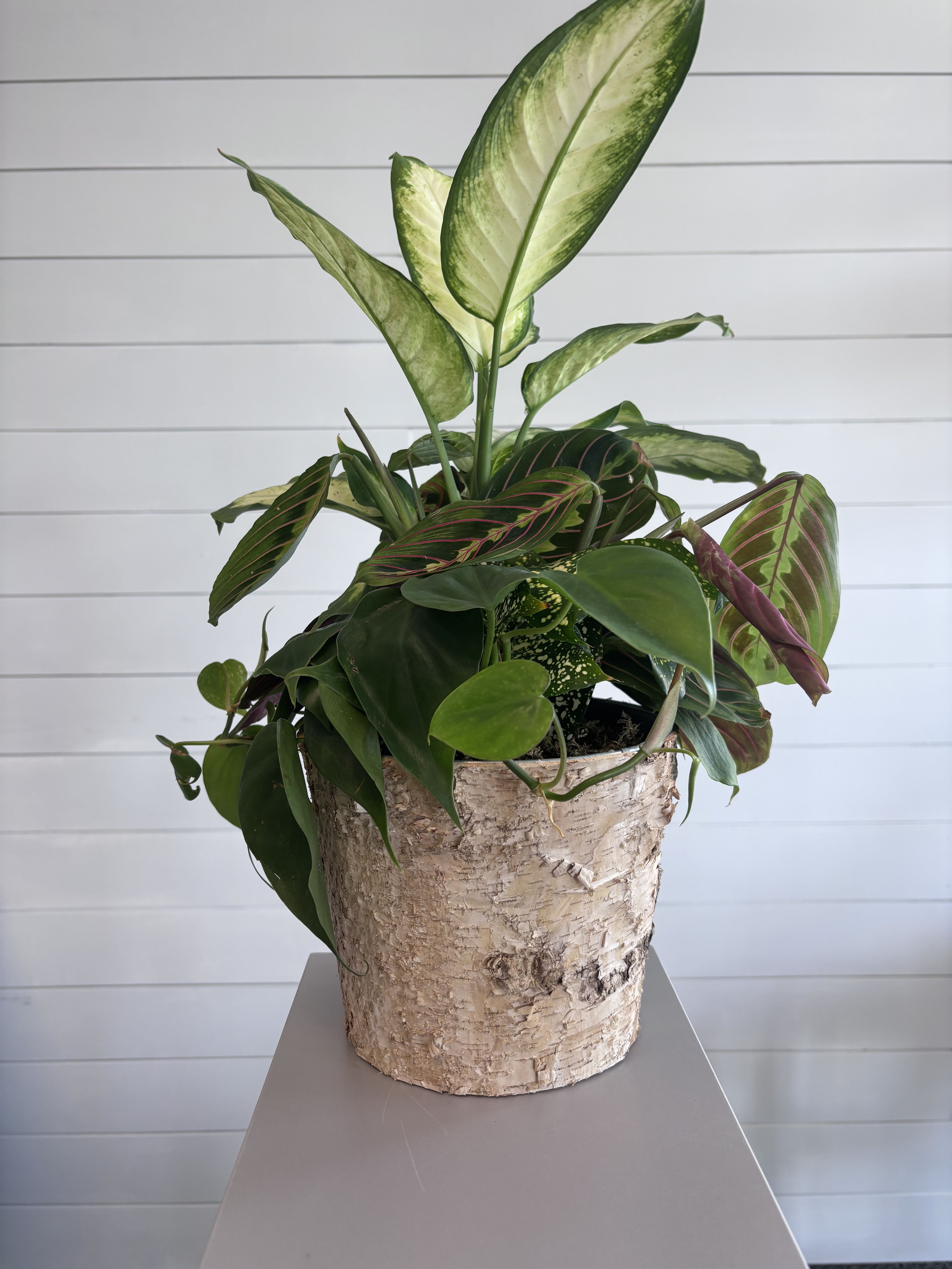 Collected Greens sympathy product from A Ray of Sunshine Floral in Hilliard, Ohio