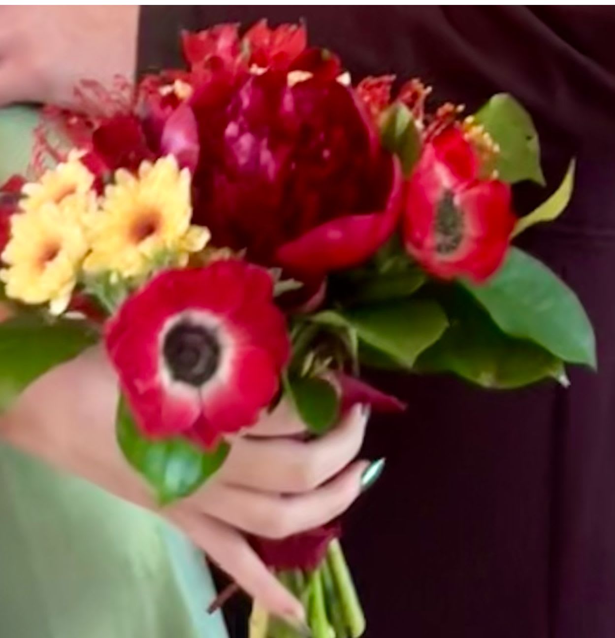 Handheld bouquet of red anemones and yellow daisies