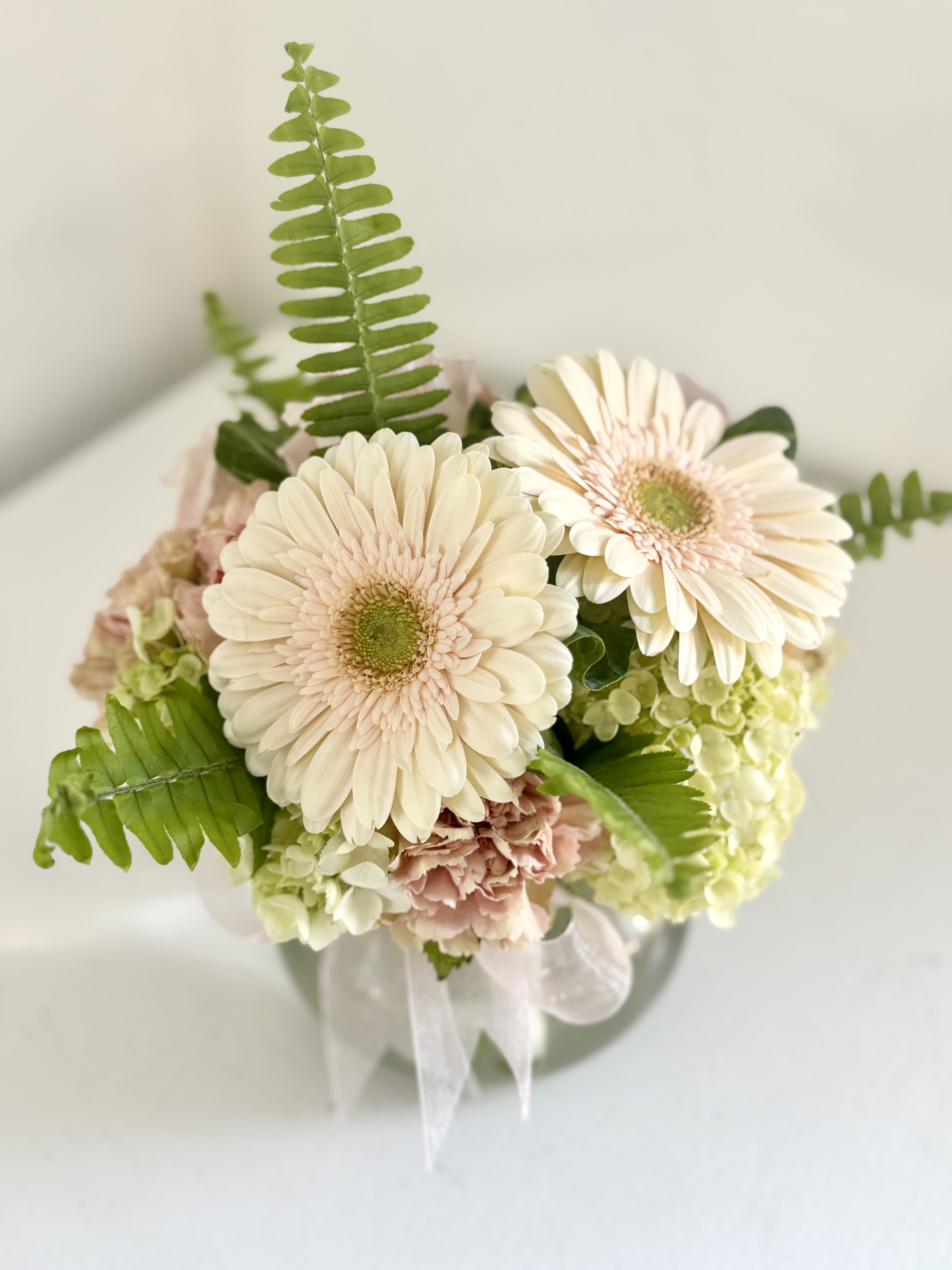 Cream gerbera daisies with pink carnations in a clear vase