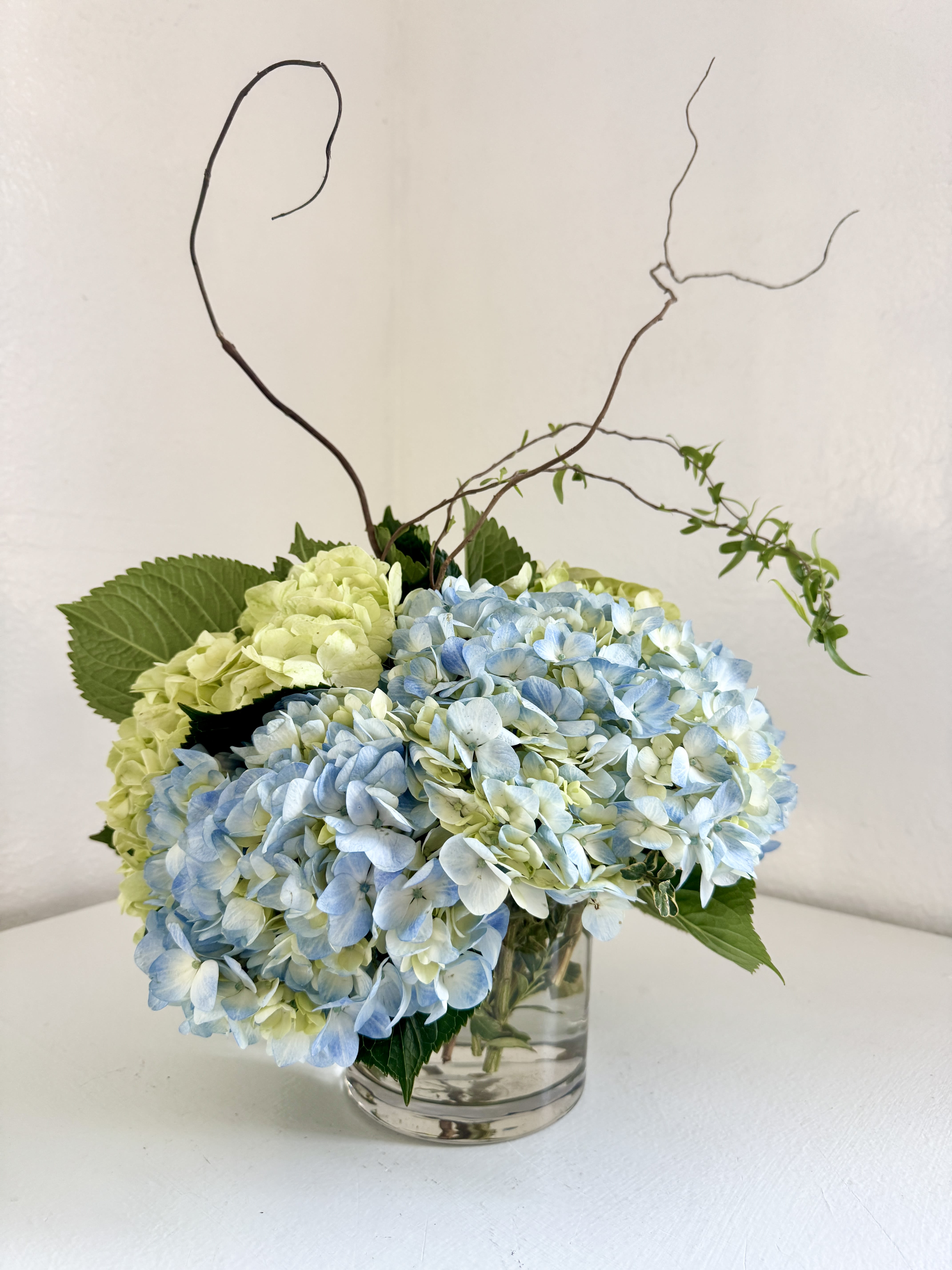 Blue and pale green hydrangeas in a clear glass vase with curly branches
