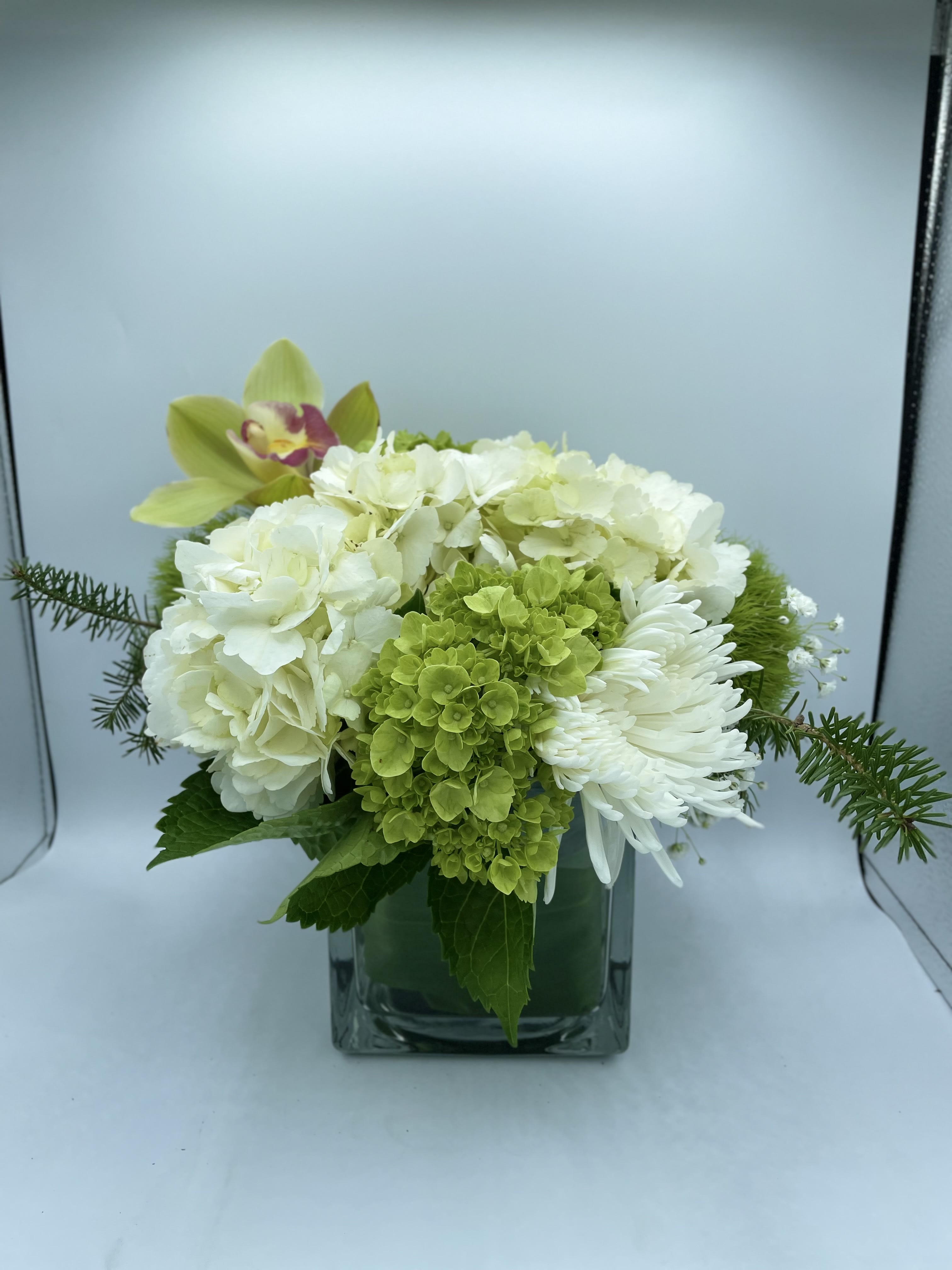 Eternally Elegant  - This arrangement is a calming, peaceful gesture that's perfect for any occasion.