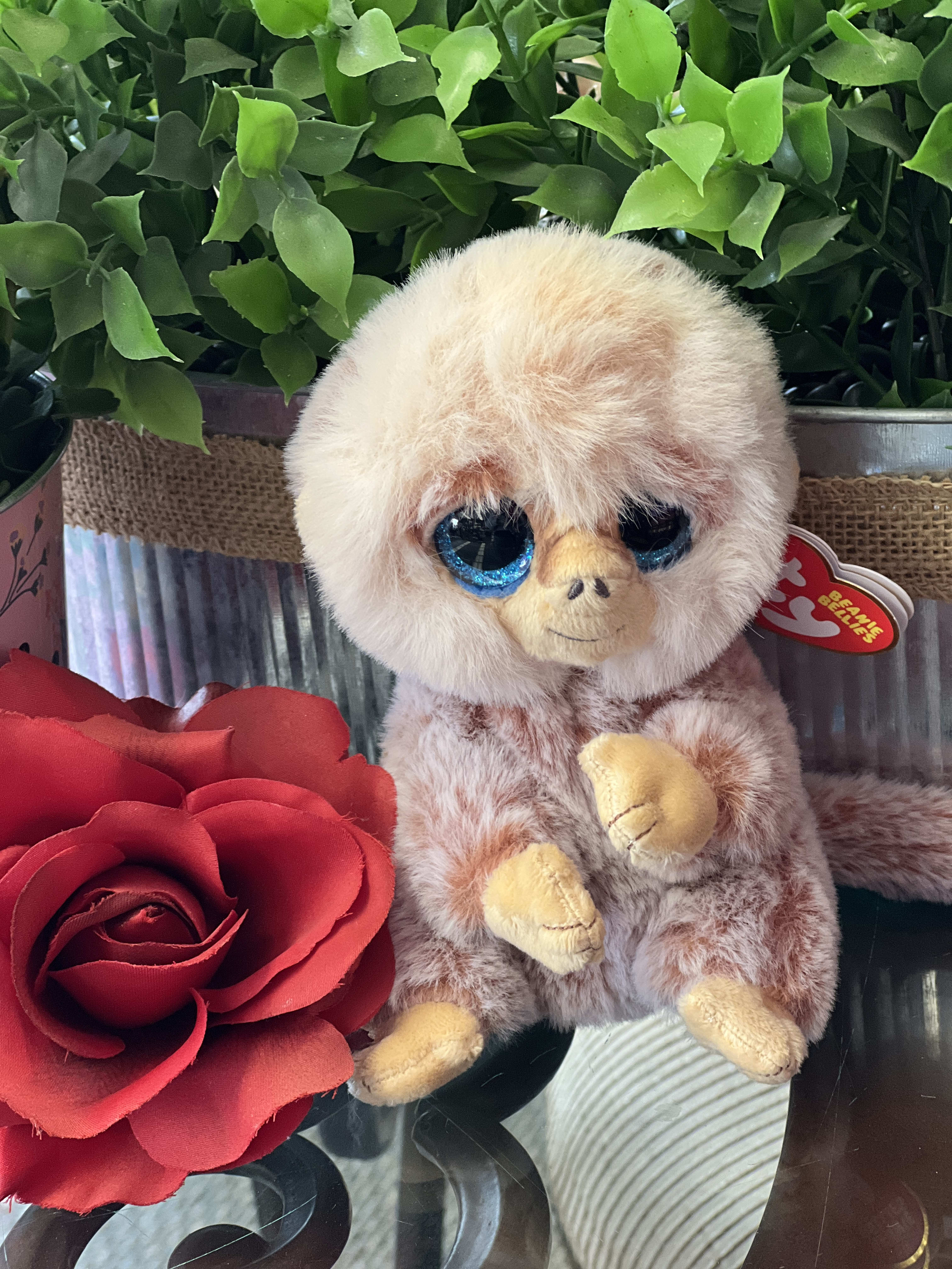 Stuffed monkey beside a red rose in a gift box