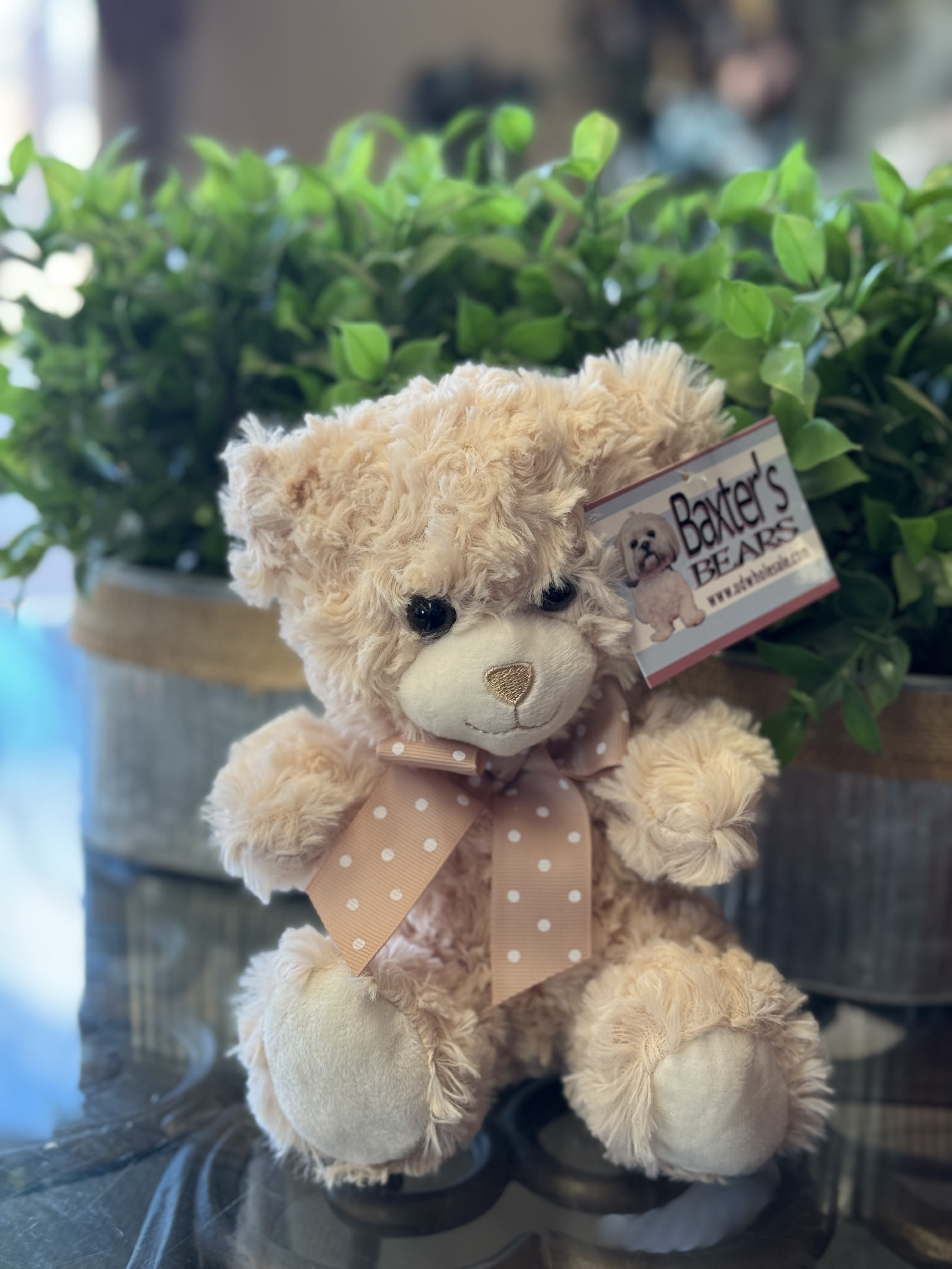 Plush teddy bear with a pink polka-dot bow sitting in front of greenery