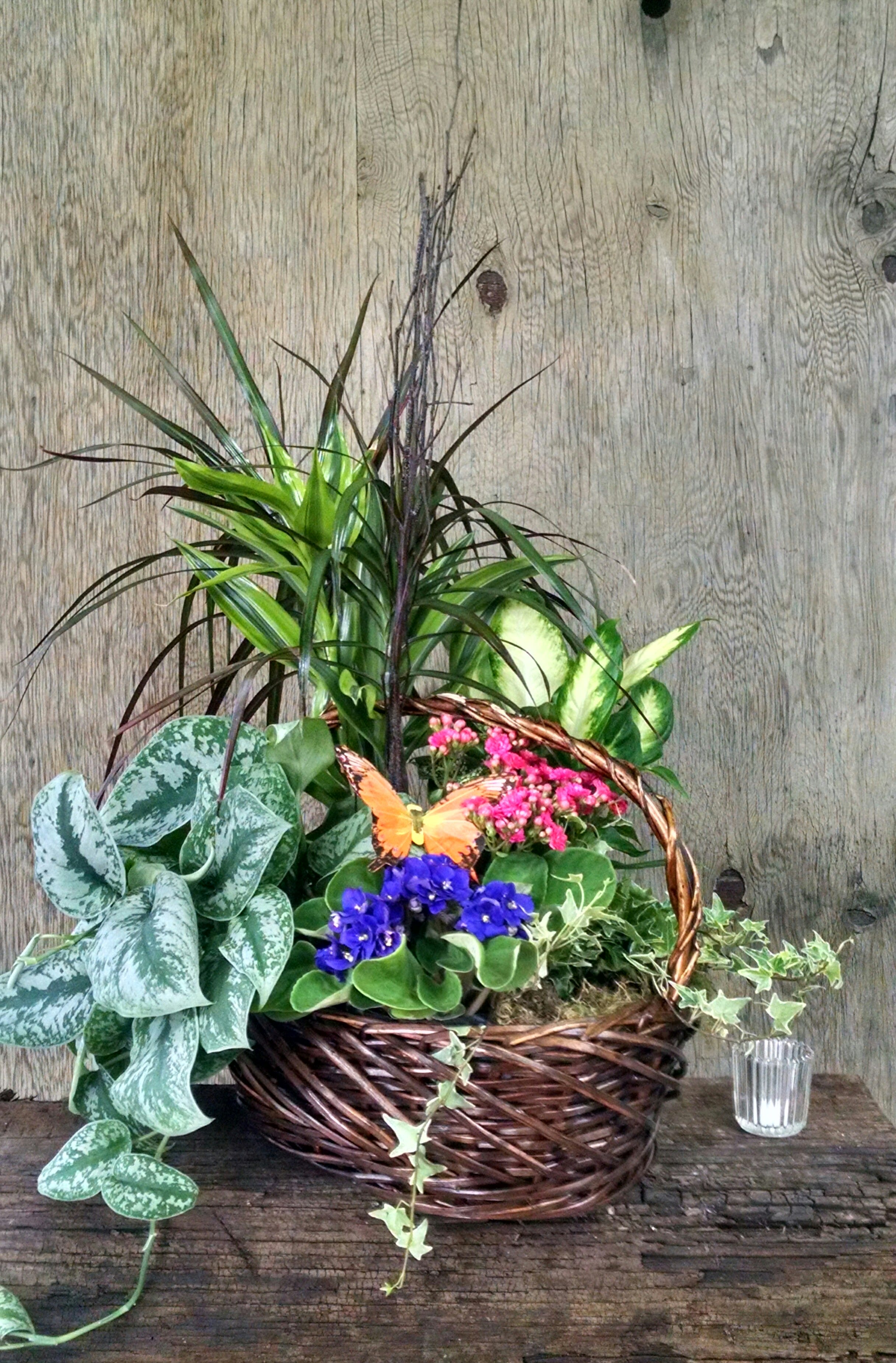 Mixed potted plants in a wicker basket with small pink and blue flowers