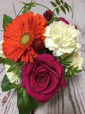 Compact arrangement with orange gerbera, pink rose, white carnations, and red accent blooms.