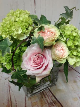 Short arrangement of pale pink roses and green hydrangeas in a clear glass cube vase with trailing ivy