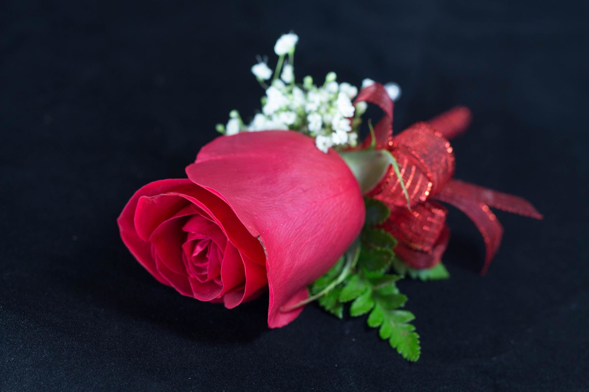 Single red rose boutonniere with baby's breath and ribbon