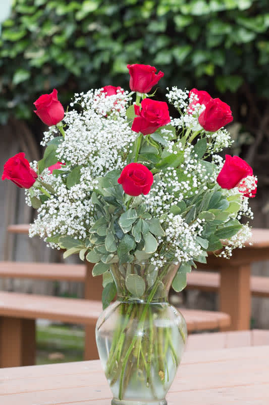 Red roses arranged with white baby's breath in a clear glass vase