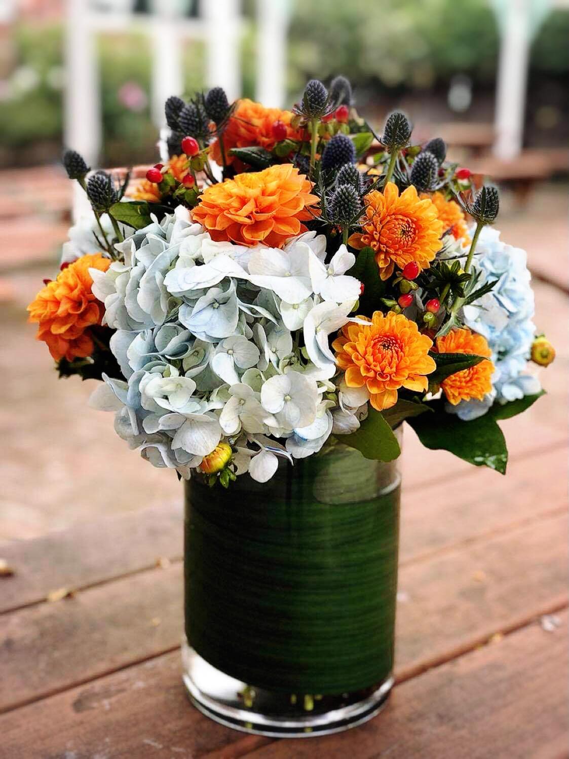 Blue Moon - -2 Blue Hydrangeas -3 Stems Orange Dahlias -3 stems Blue Fillers -5 Stems Red Hybericum -5x8 inches Cylinder vase