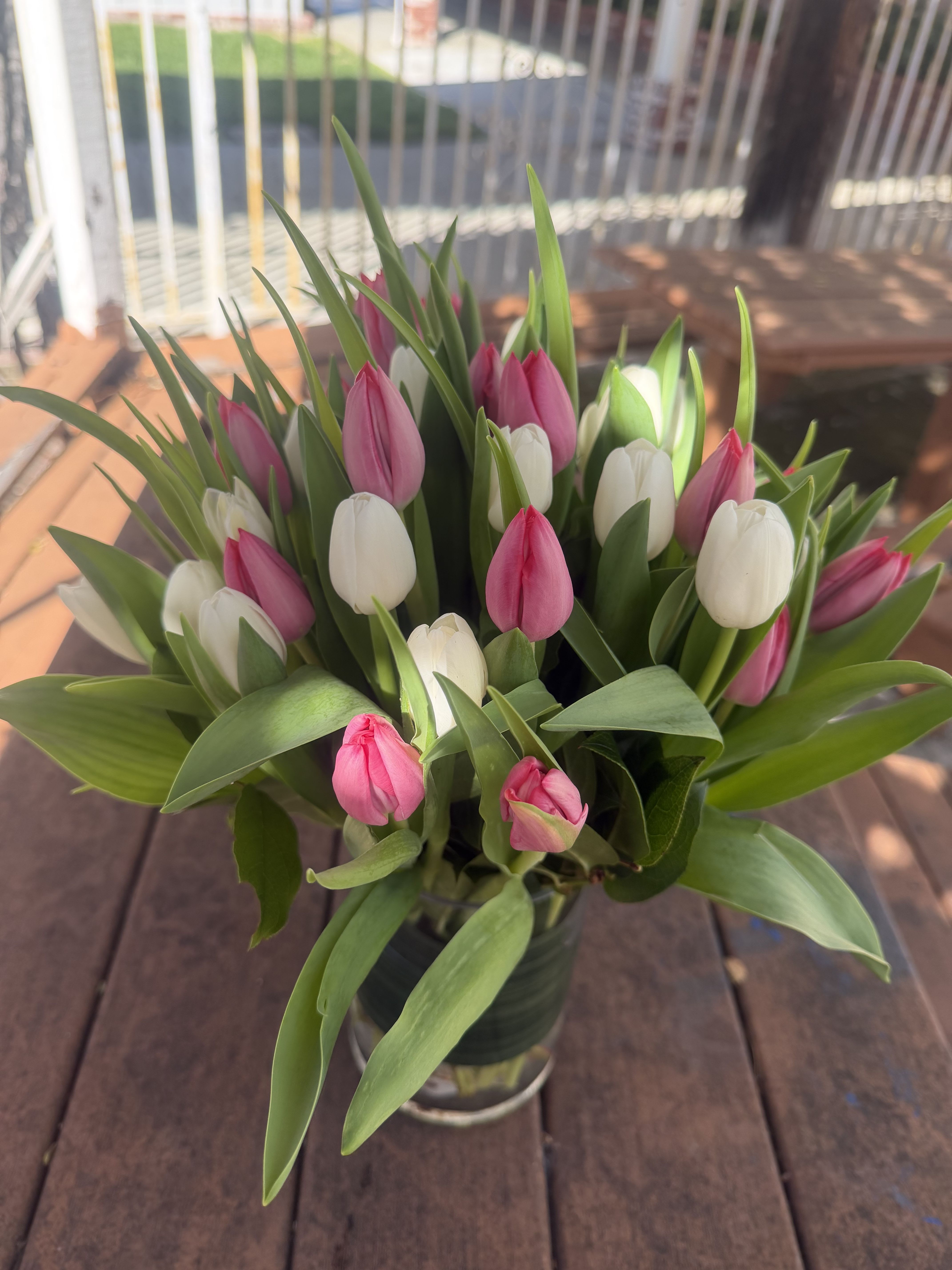 Pink and white tulips arranged in a glass vase