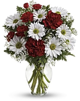 Red carnations and white daisies in a clear glass vase