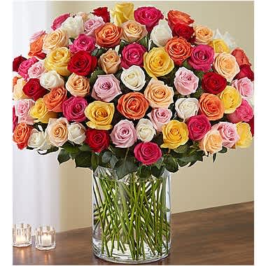 100 Premium Long Stem Multicolored Roses - Wow someone like never before with 100 stunning long stem roses in a rainbow of colors! Our spectacular arrangement is artistically designed by our expert floral artisans with an abundant array of blooms in every color, gathered with lush greenery inside a classic cylinder vase. Standing over 2 feet tall, this brilliant surprise is personally hand-delivered to help your express how you feel in the biggest and best way possible. All-around arrangement with 100 premium long stem multicolor roses; accented with assorted greenery Our florists select the freshest flowers available, so shade of rose may vary due to local availability Artistically designed in a clear glass vase Arrangement measures an impressive 30"H x 26"L