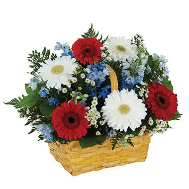 Salute To The Red, White &amp; Blue Basket - Show your patriotic pride with this colorful salute of floral beauty featuring red and white gerbera daisies along with white Monte Casino blooms and blue Belladonna delphinium in a splitwood basket. Measures 16"H by 18"L.