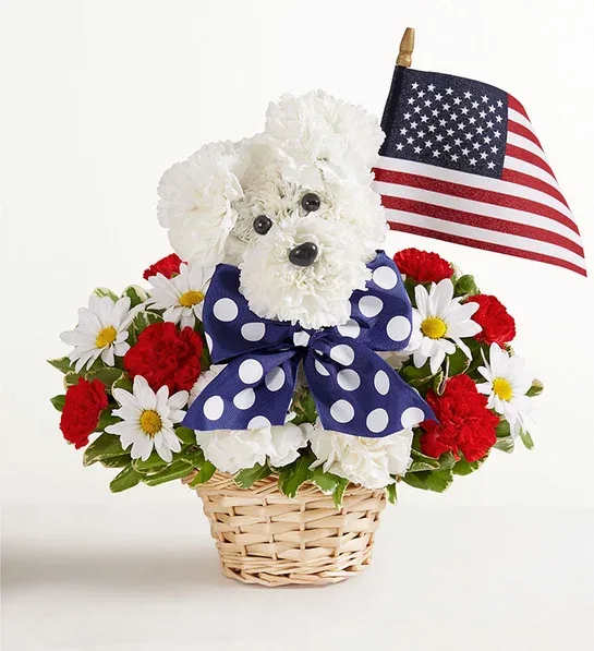 Yankee Doodle Doggy - Unleash smiles with our Yankee Doodle Doggie. Crafted from red and white blooms, this patriotic flower pup comes complete with a decorative ribbon and a mini American flag. Whether it’s to honor a brave service person in your life or celebrate a patriotic holiday in style, it’s truly original gift full of pride for the USA.