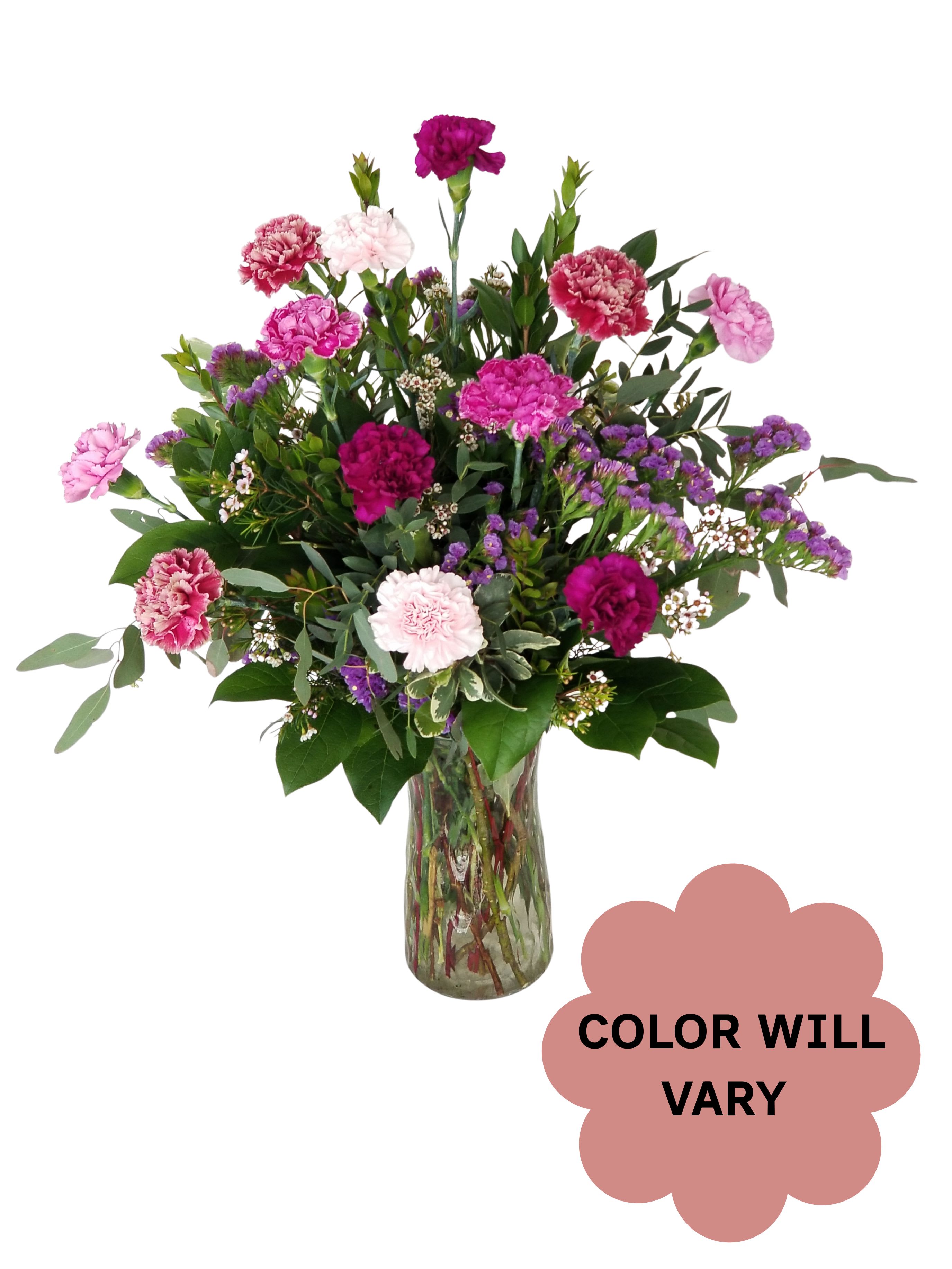 Mixed pink and purple carnations in a glass vase