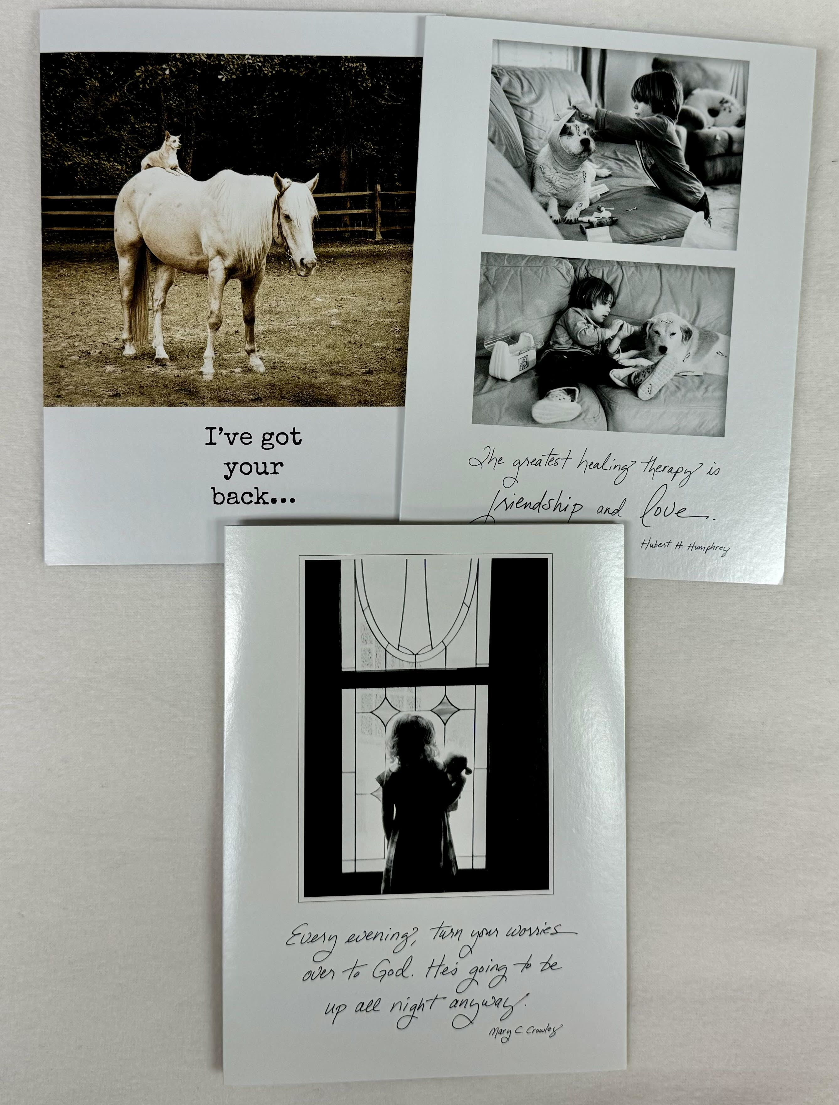 Bonair Daydreams Get Well Cards - A selection of cardsto choose from. Let us know which kind of card you are hoping for and we will do or best to select.