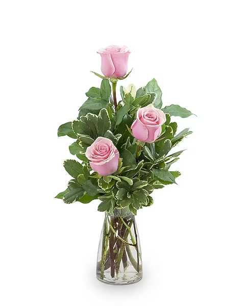 Pink roses arranged in a clear glass vase with greenery