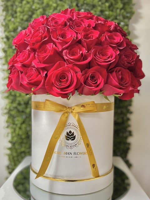 Round box of tightly packed red roses with a gold ribbon on a white hatbox.