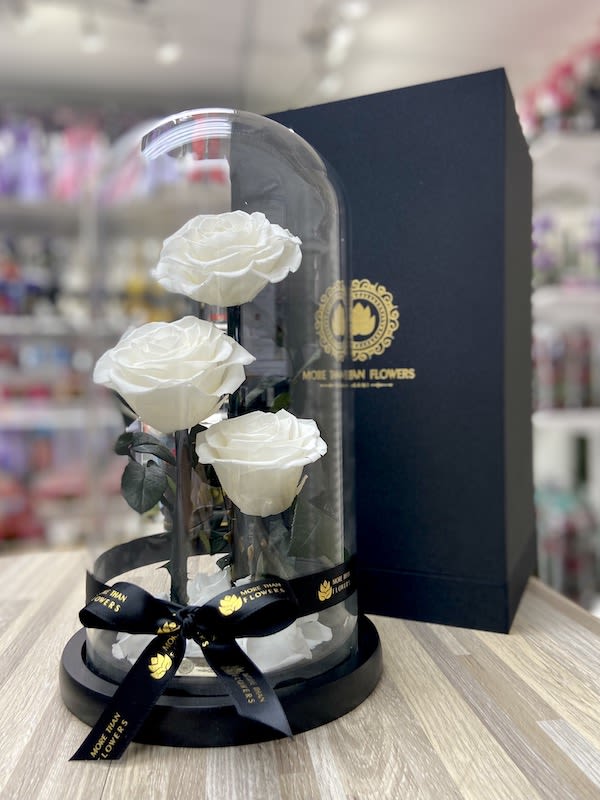 Three white roses displayed under a glass dome on a black base with a ribbon and gift box.