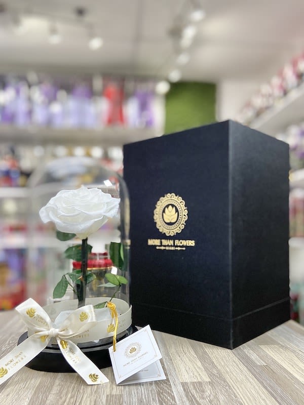 Single white rose under a glass dome with ribbon and black gift box on a wooden surface