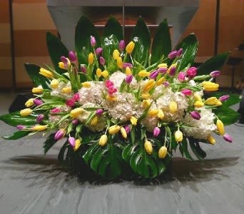 Low centerpiece of yellow and purple tulips with white hydrangeas and large dark green tropical leaves.