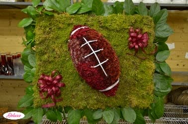 Football-shaped floral display on a moss-covered square panel with ribbon accents