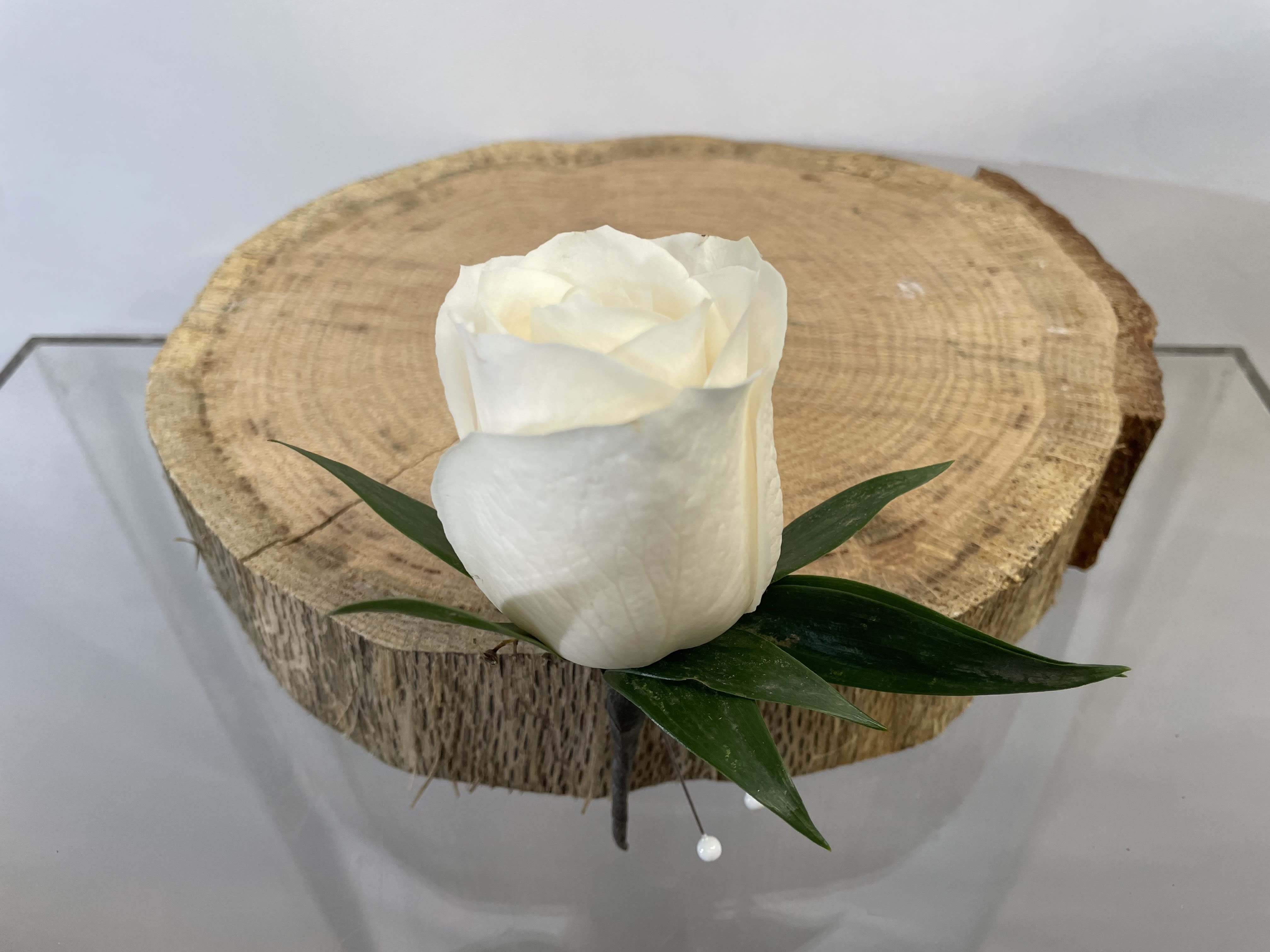 Single white rose with green leaves on a wood slice